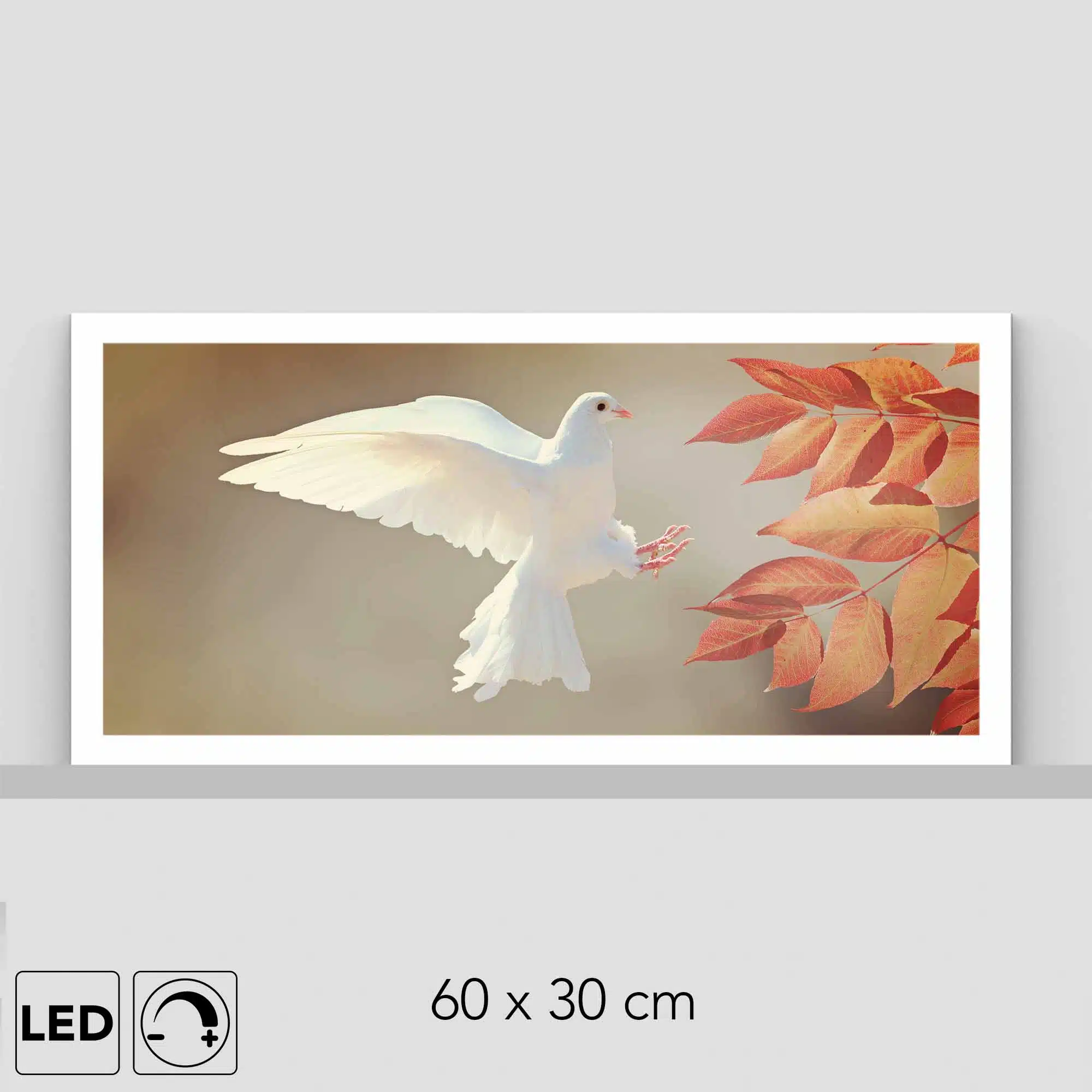 Lampe colombe Lampe colombe