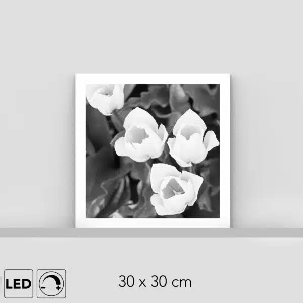 Lampe fleurs blanches
