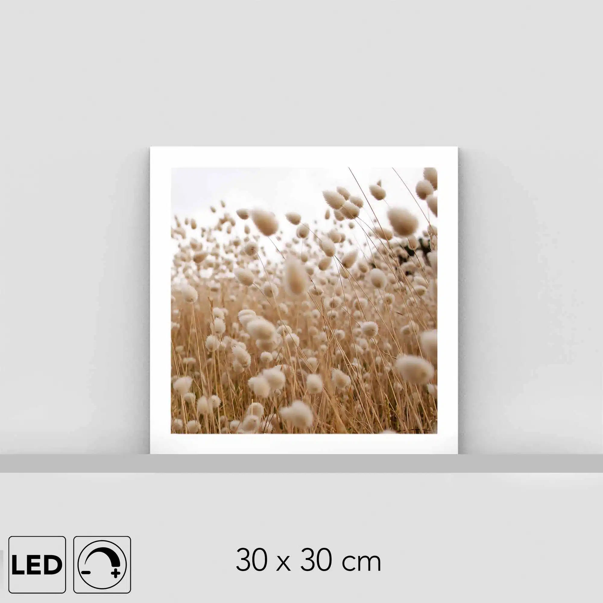 Lampe fleurs des champs Lampe fleurs des champs