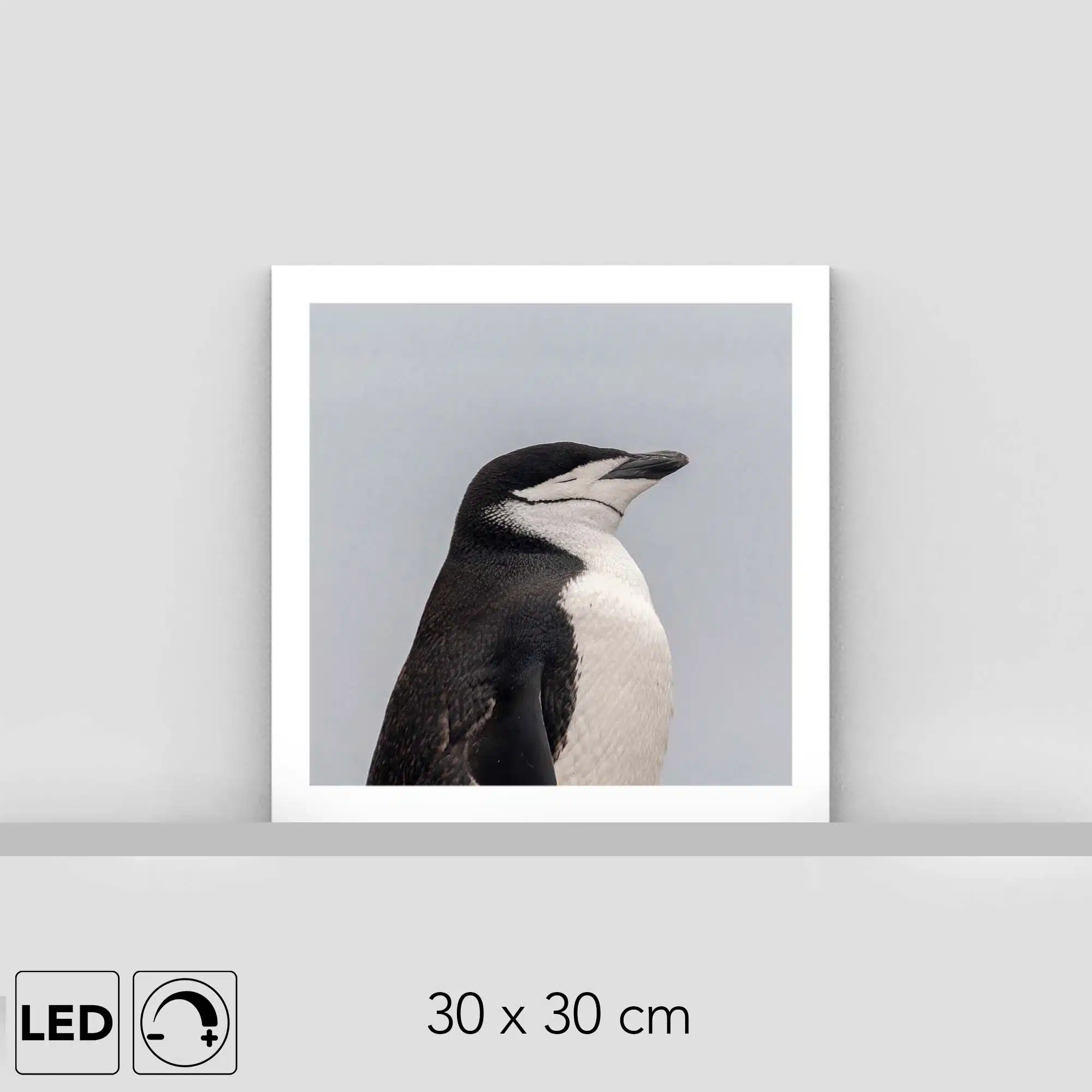Lampe manchot Lampe manchot