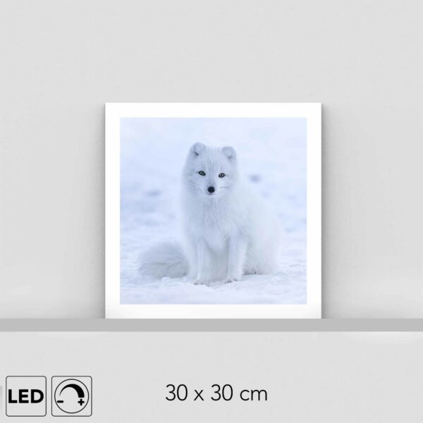 Lampe renard polaire