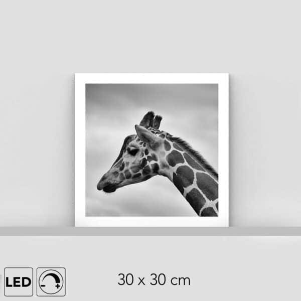 Lampe tête de girafe