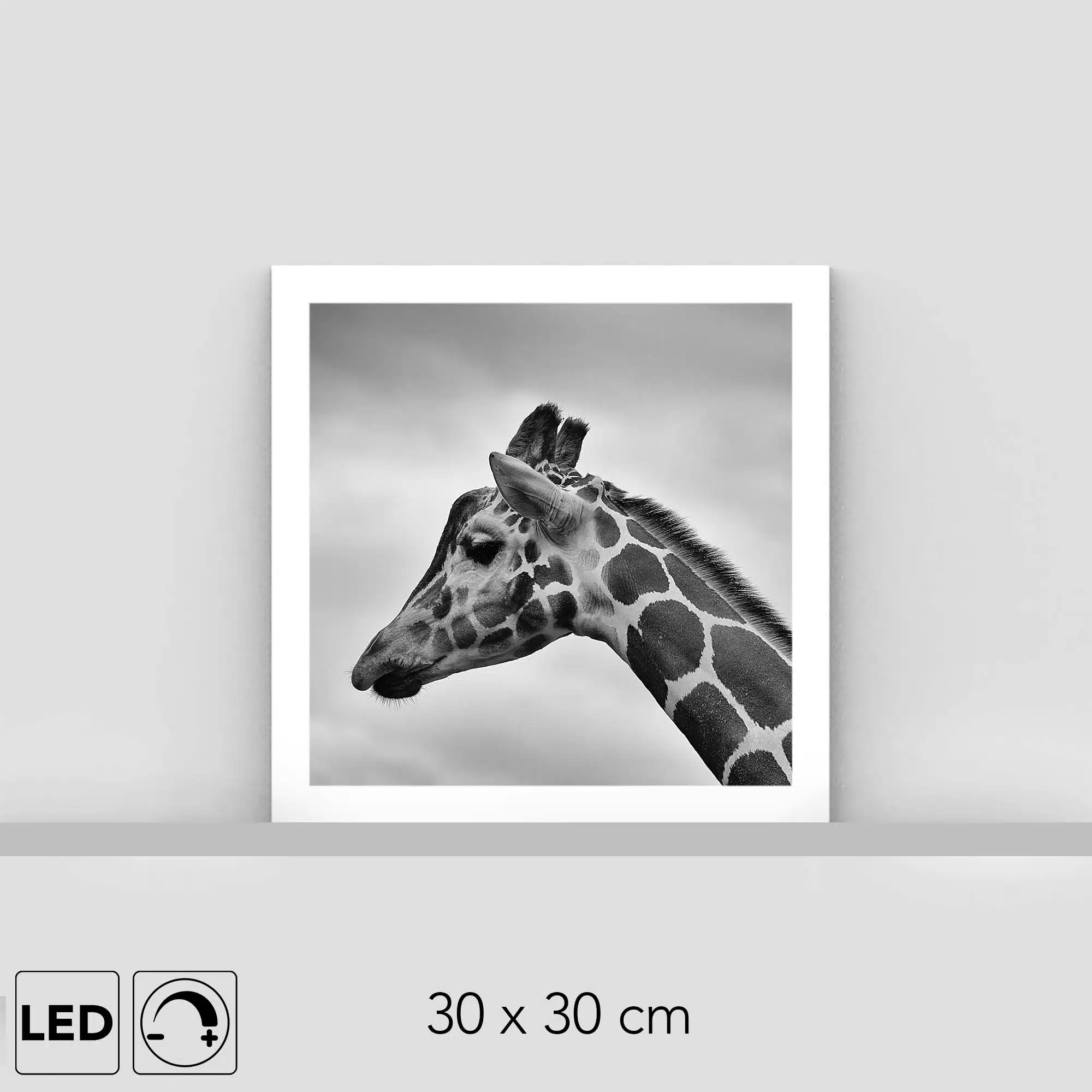 Lampe tête de girafe Lampe tête de girafe