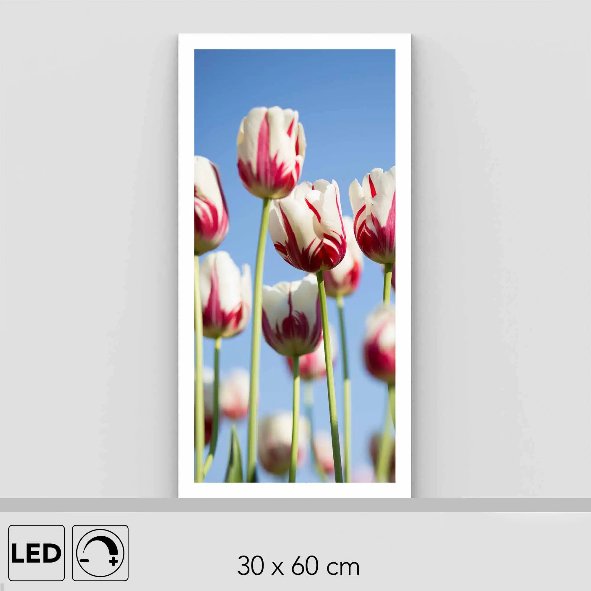 Lampe tulipes Lampe tulipes