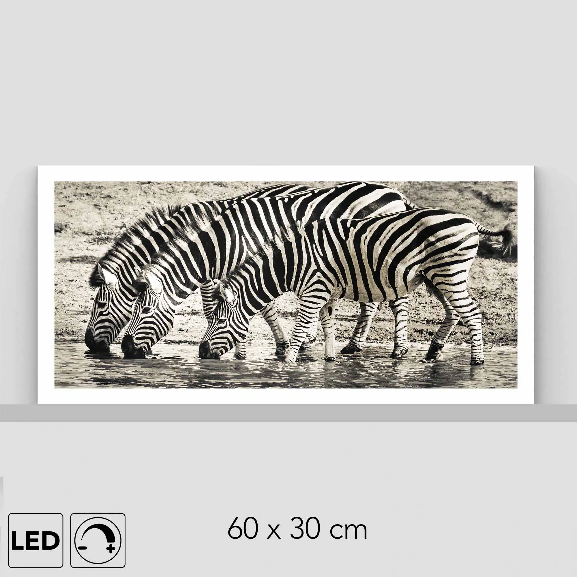 Lampe zèbres Lampe zèbres