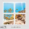 panneau-led-aquarium Panneau LED aquarium
