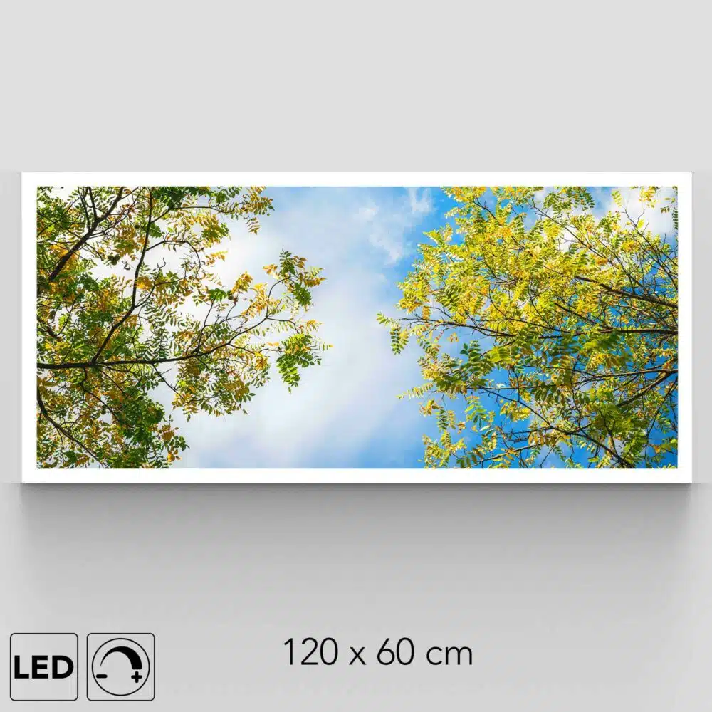 plafonnier arbres présentation
