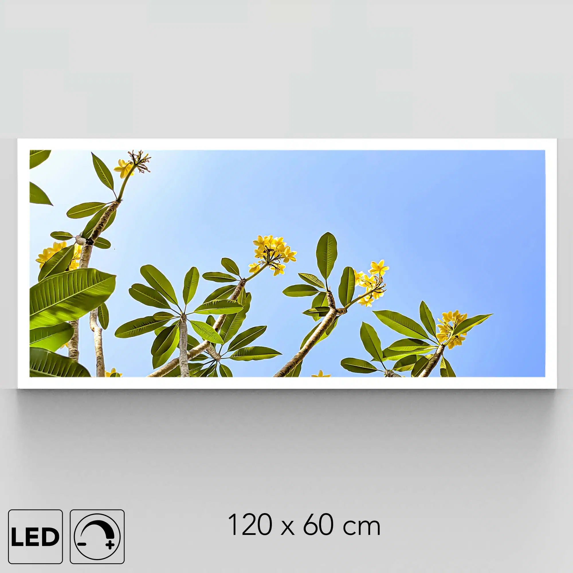 Plafonnier fleurs jaunes présentation Plafonnier fleurs jaunes présentation
