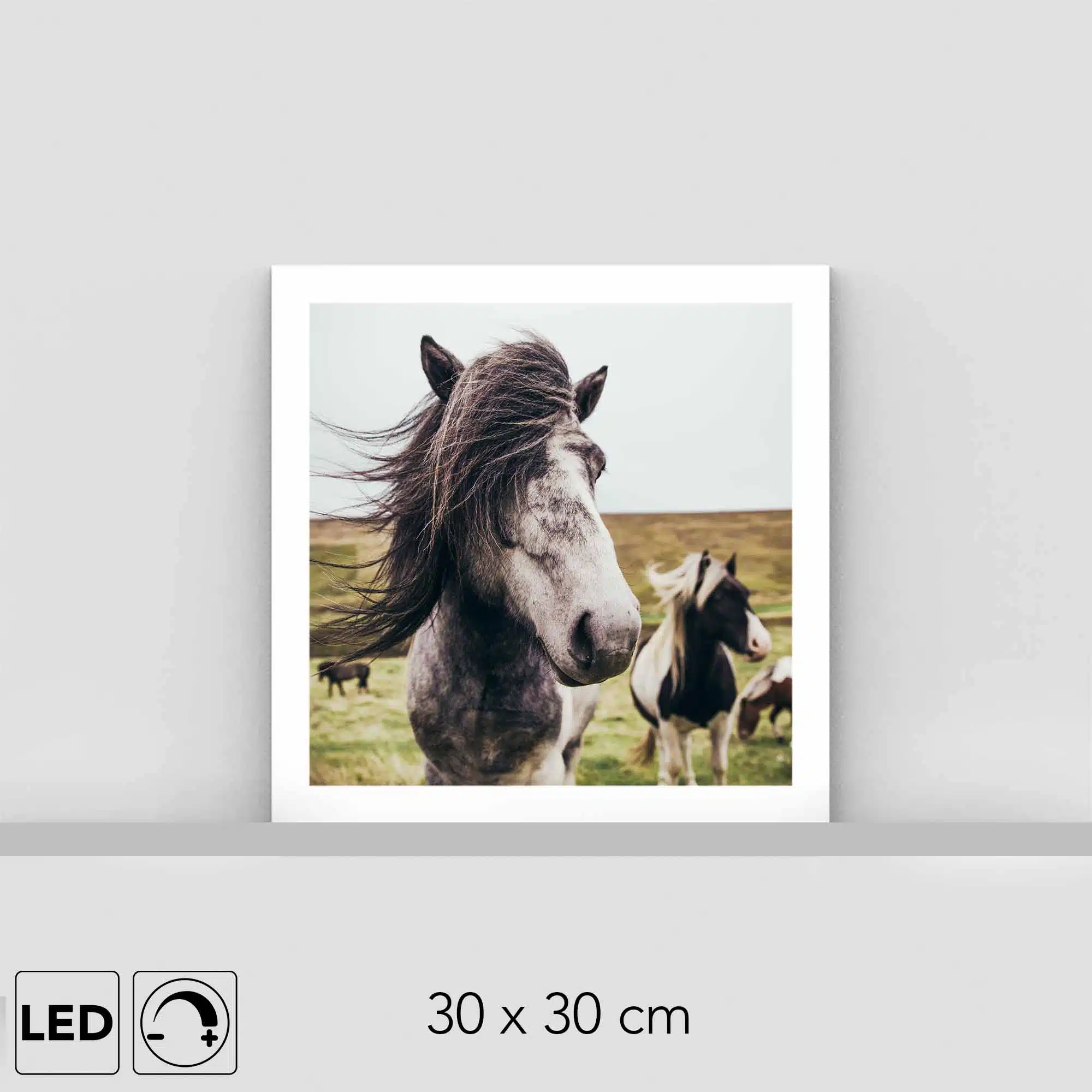 Lampe chevaux Lampe chevaux