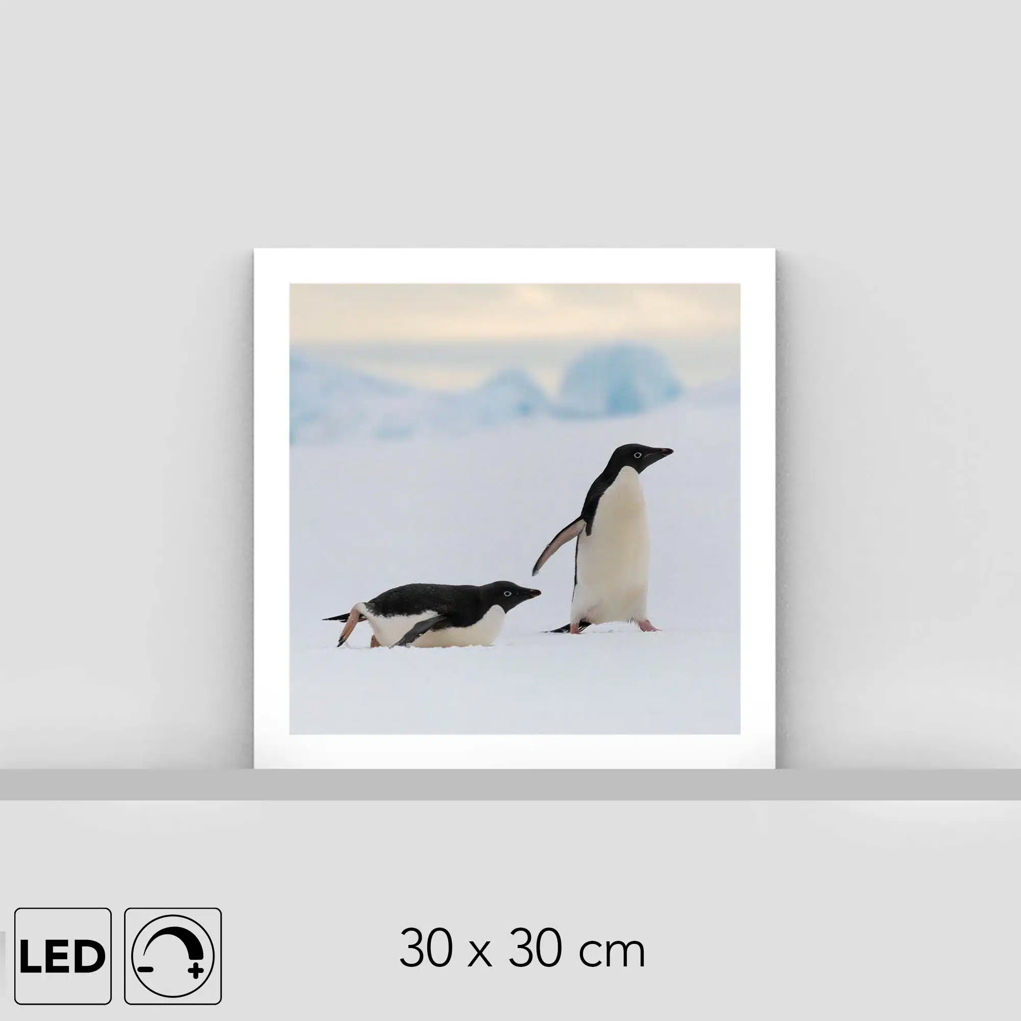 Lampe manchots Lampe manchots