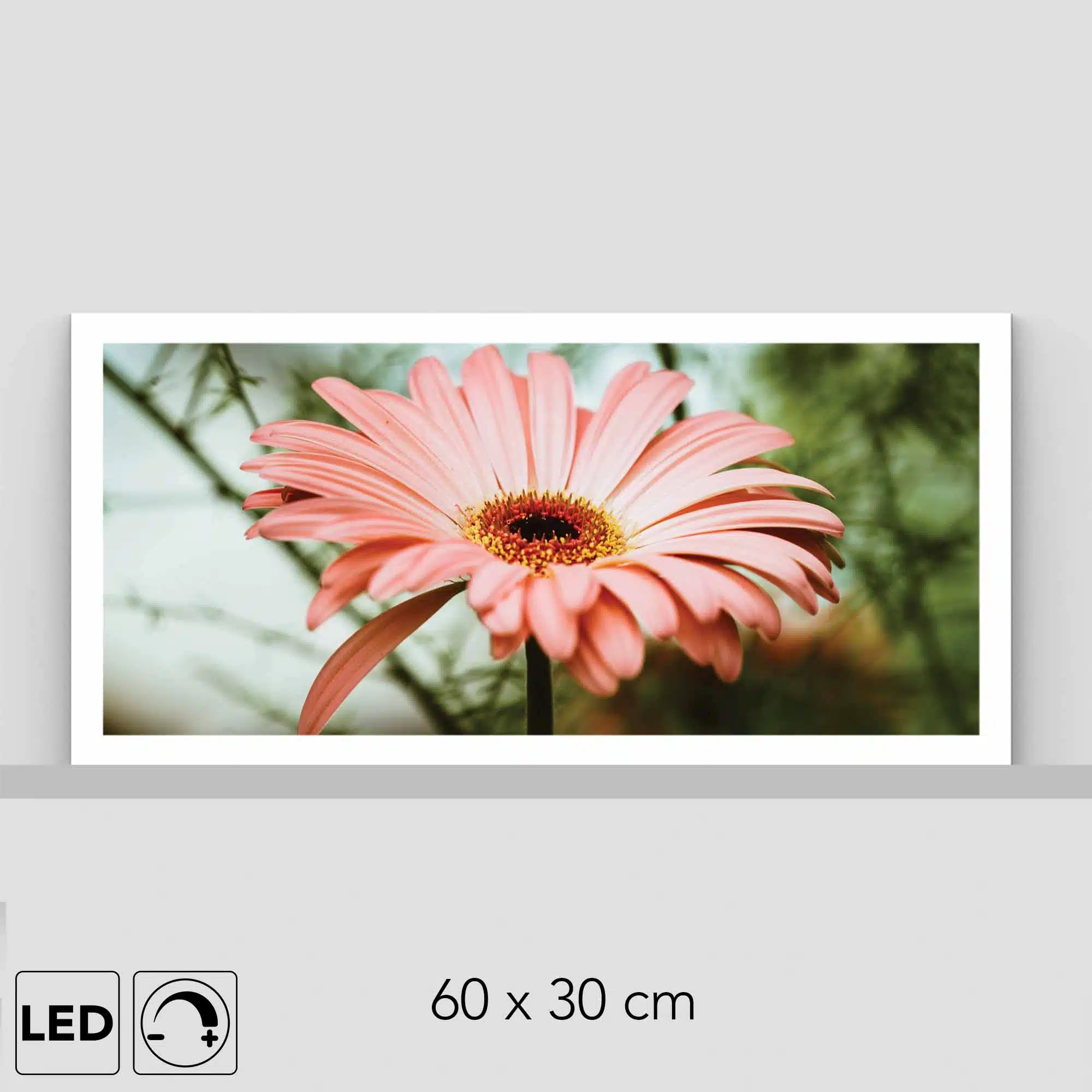 Lampe marguerite Lampe marguerite