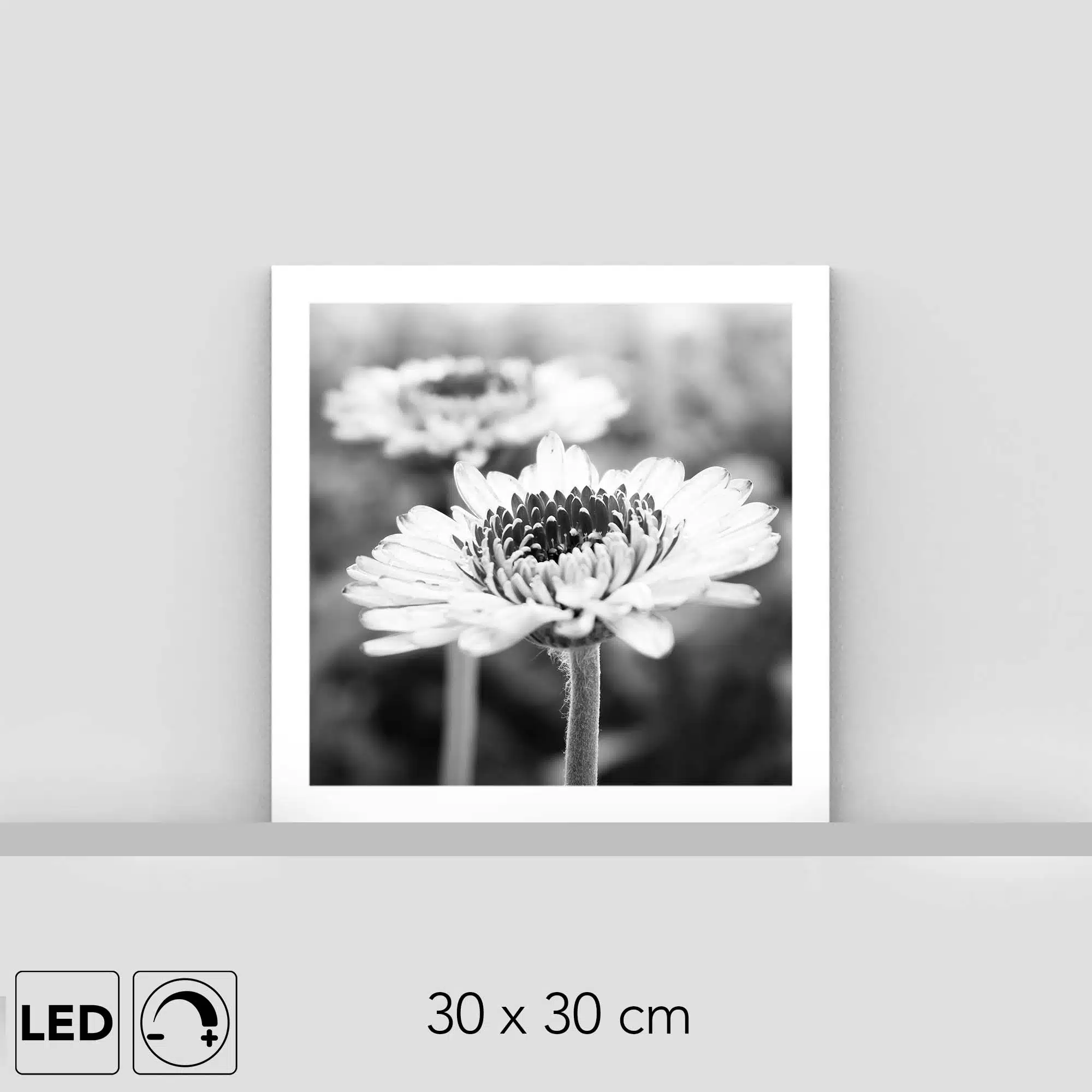 Lampe pétales Lampe pétales