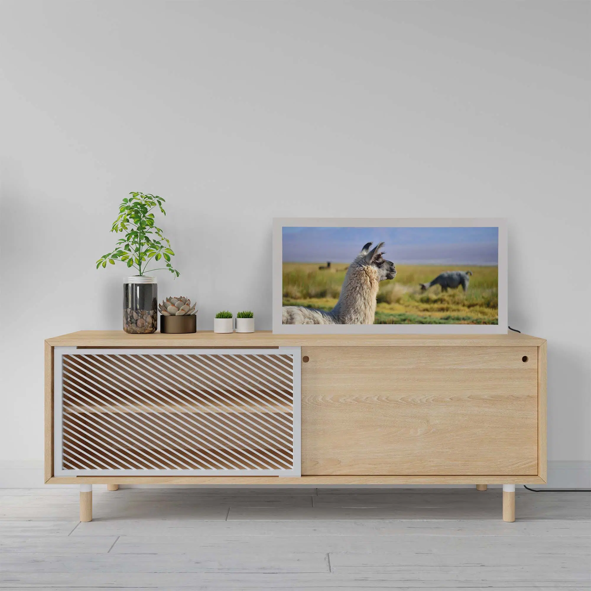 Lampe lama éteinte Lampe lama éteinte