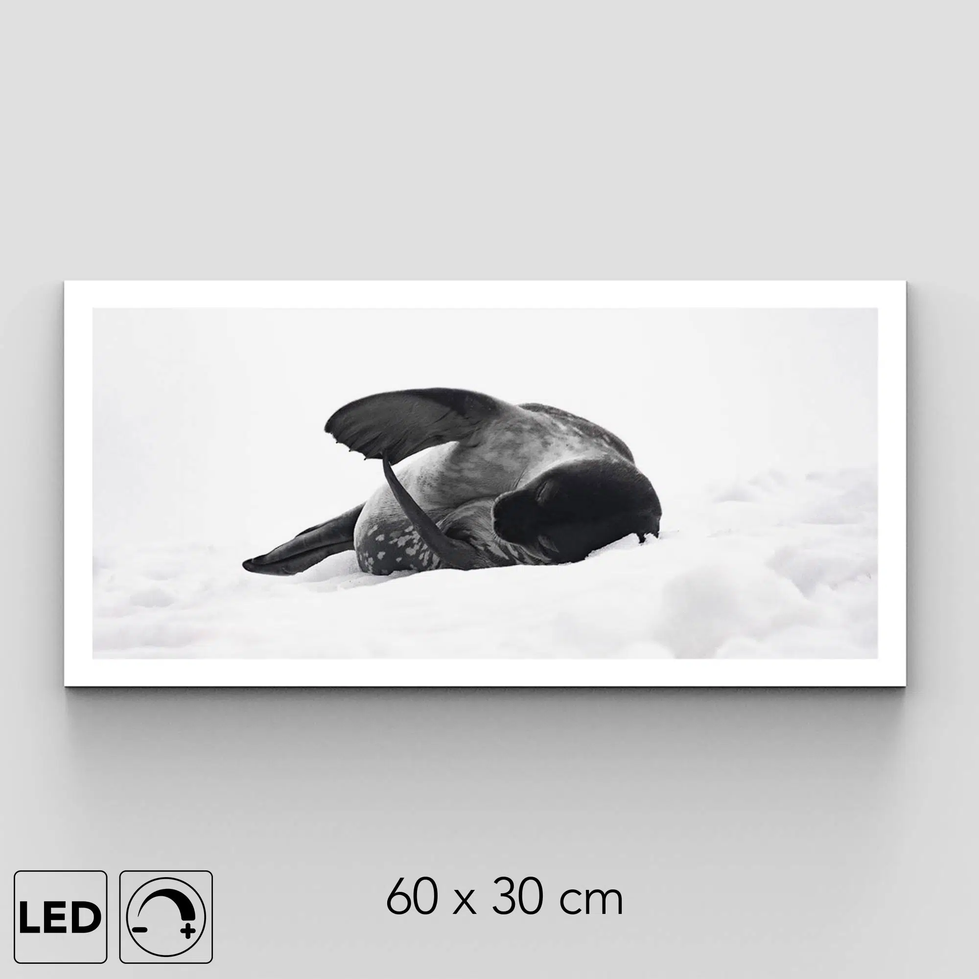 applique murale phoque antarctique applique murale phoque antarctique