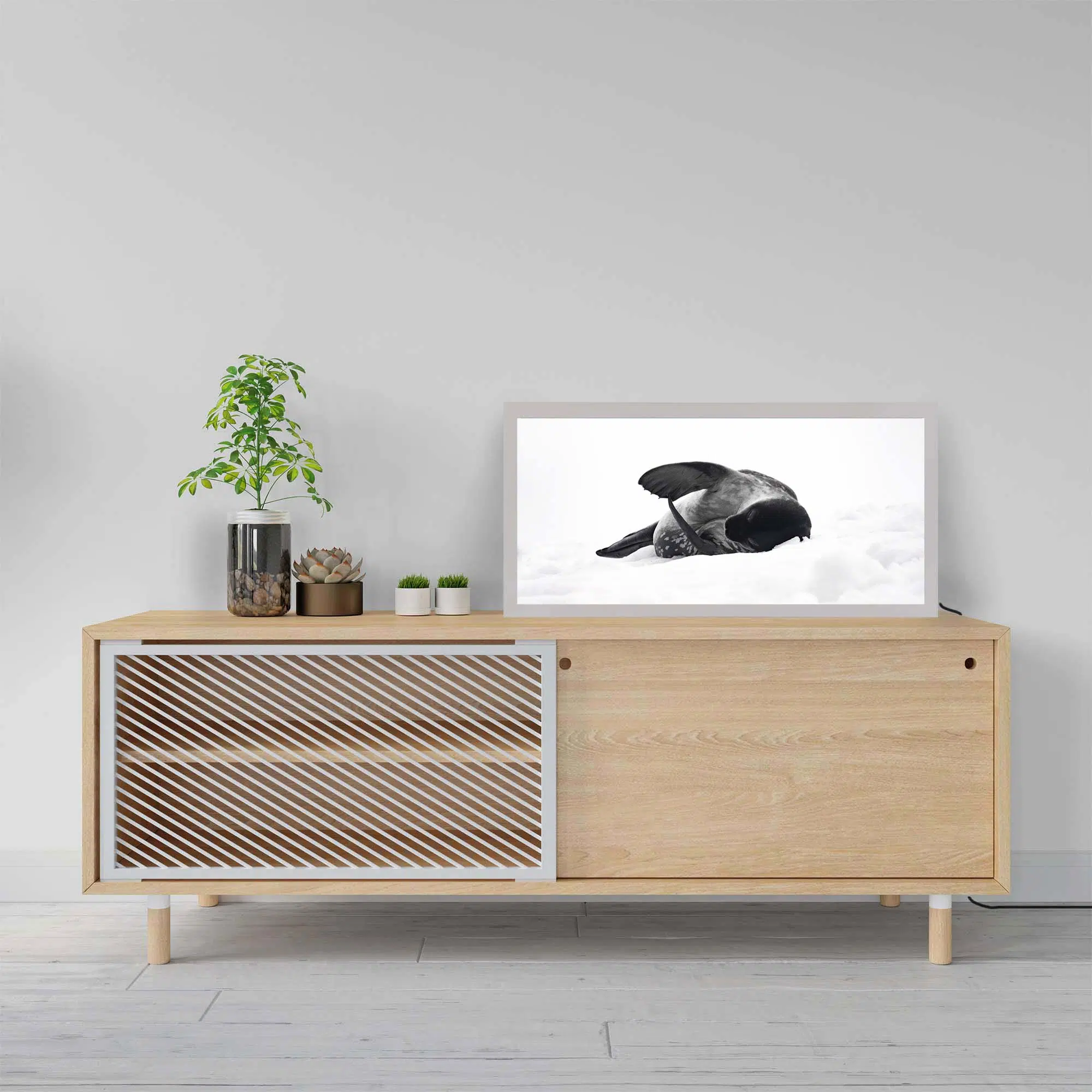 Lampe phoque antarctique éteinte Lampe phoque antarctique éteinte