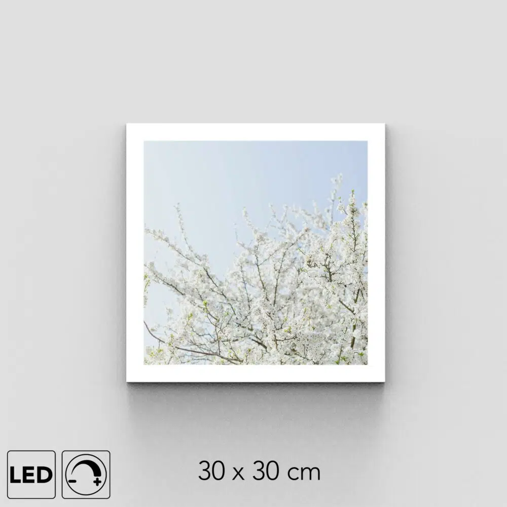 Plafonnier fleurs blanches présentation