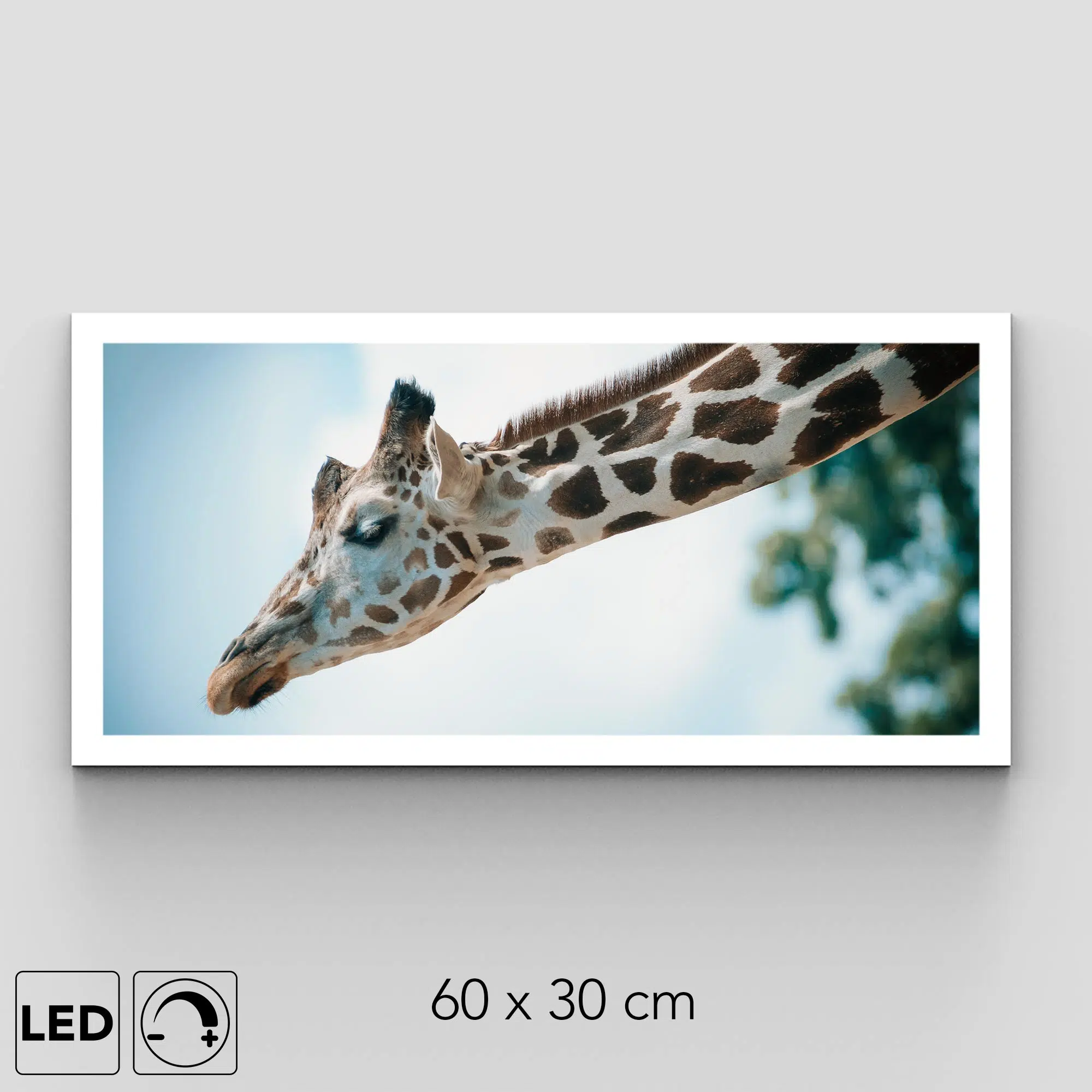Plafonnier girafe présentation Plafonnier girafe présentation