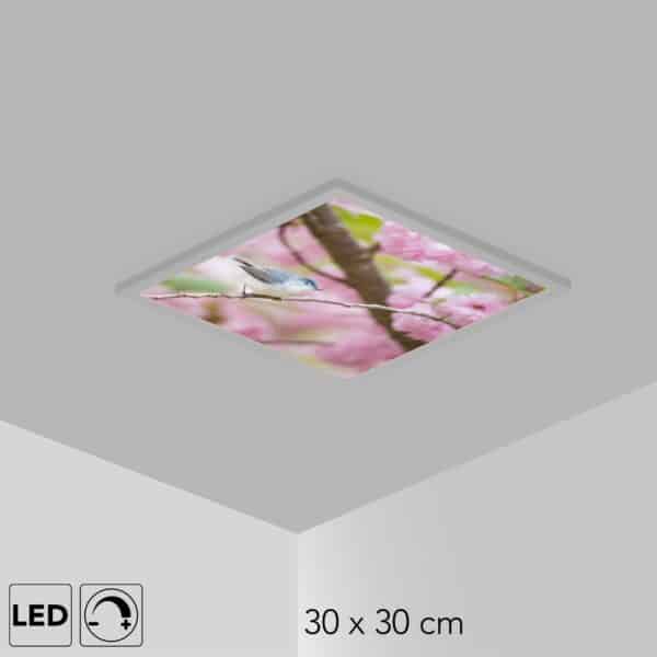 Plafonnier petit oiseau