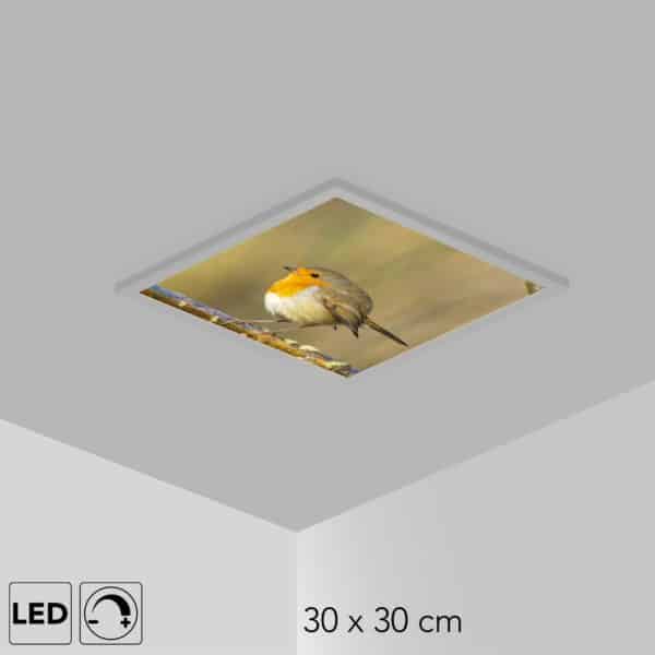 Plafonnier rouge-gorge