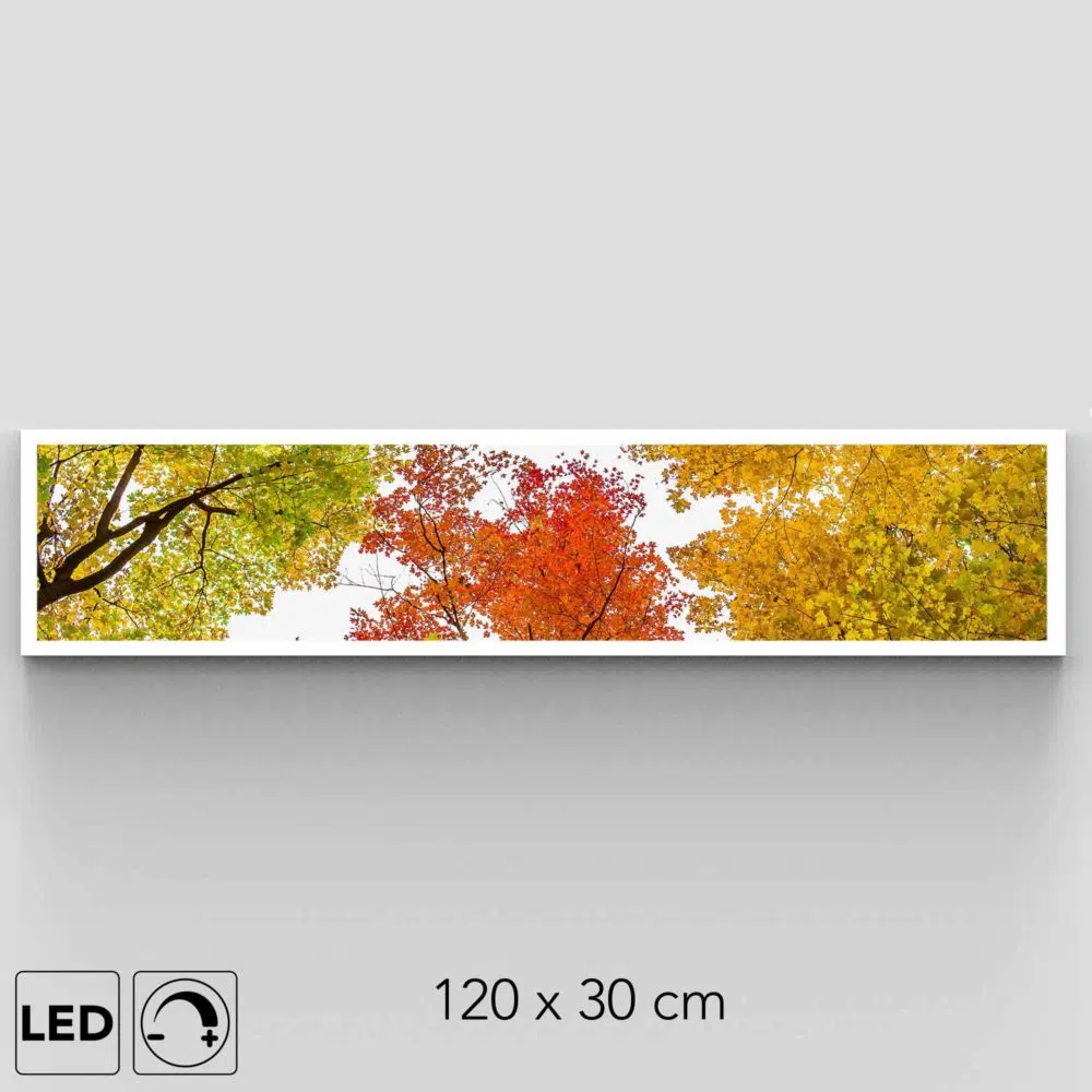 Plafonnier forêt automne présentation