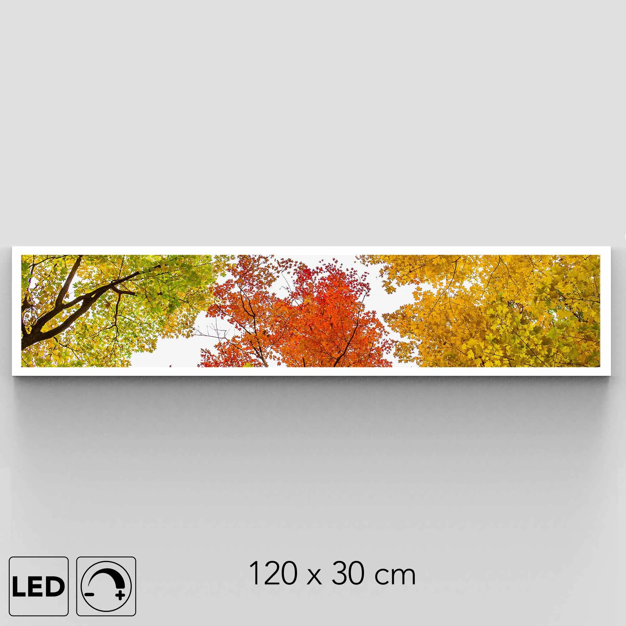 Plafonnier forêt automne présentation Plafonnier forêt automne présentation