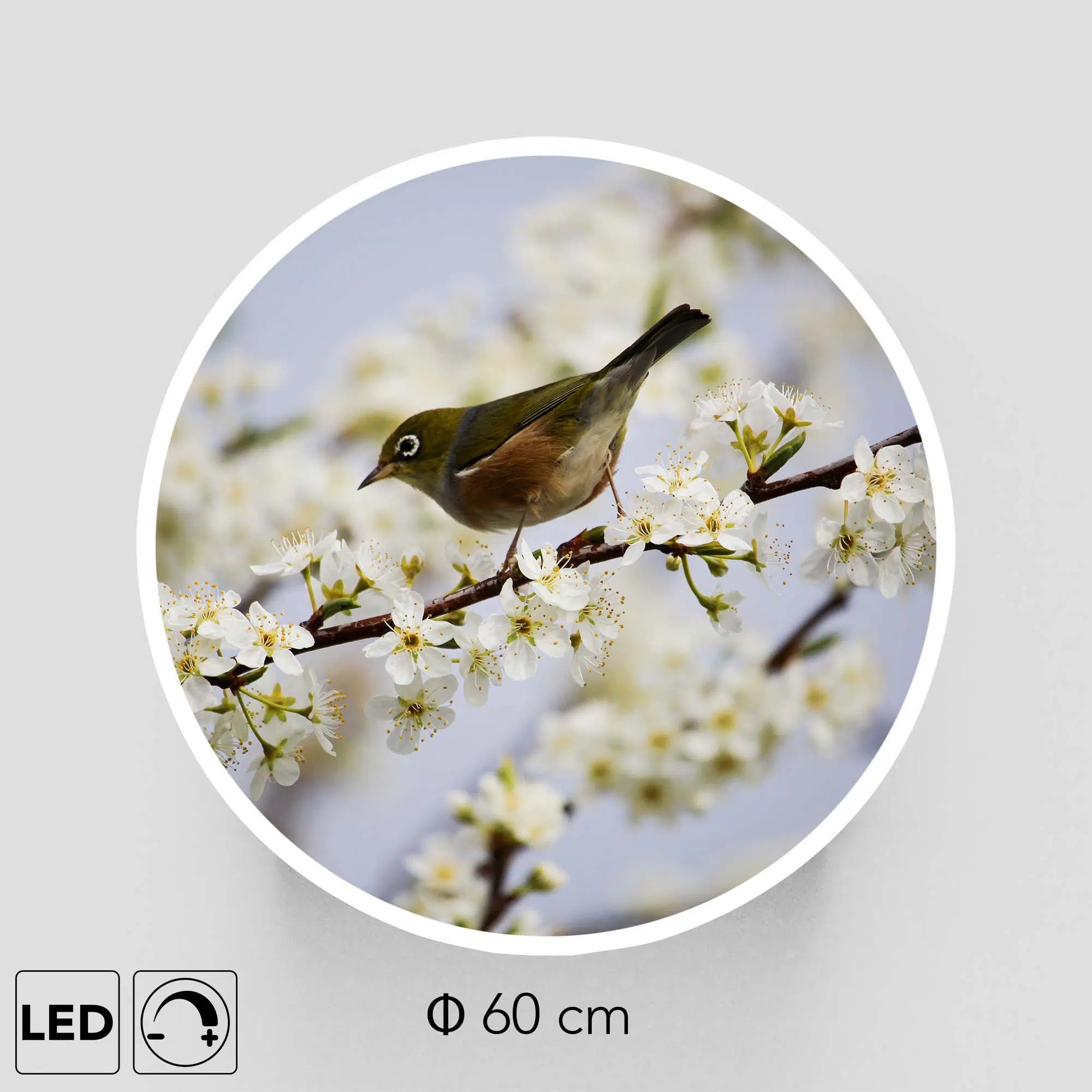 Plafonnier oiseau branche présentation Plafonnier oiseau branche présentation