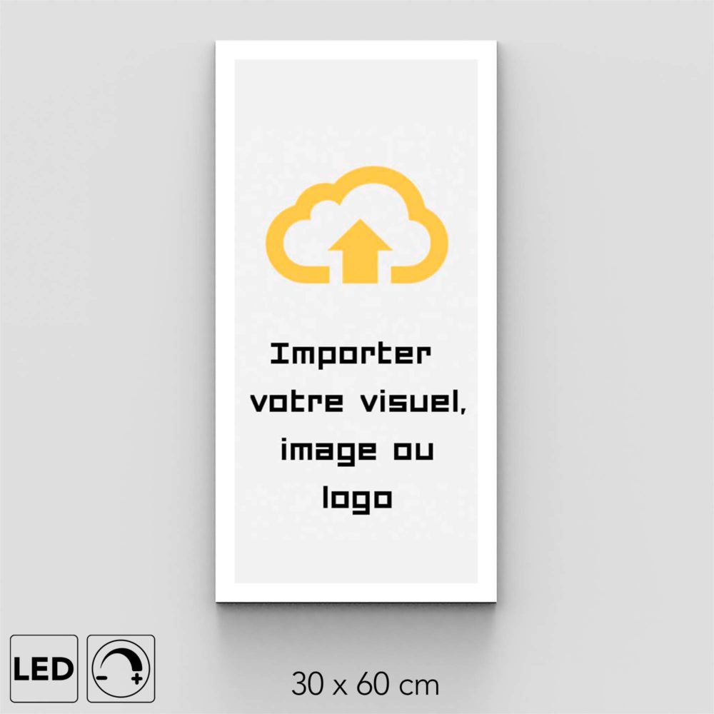 Panneau LED personnalisable 30x60 visuel