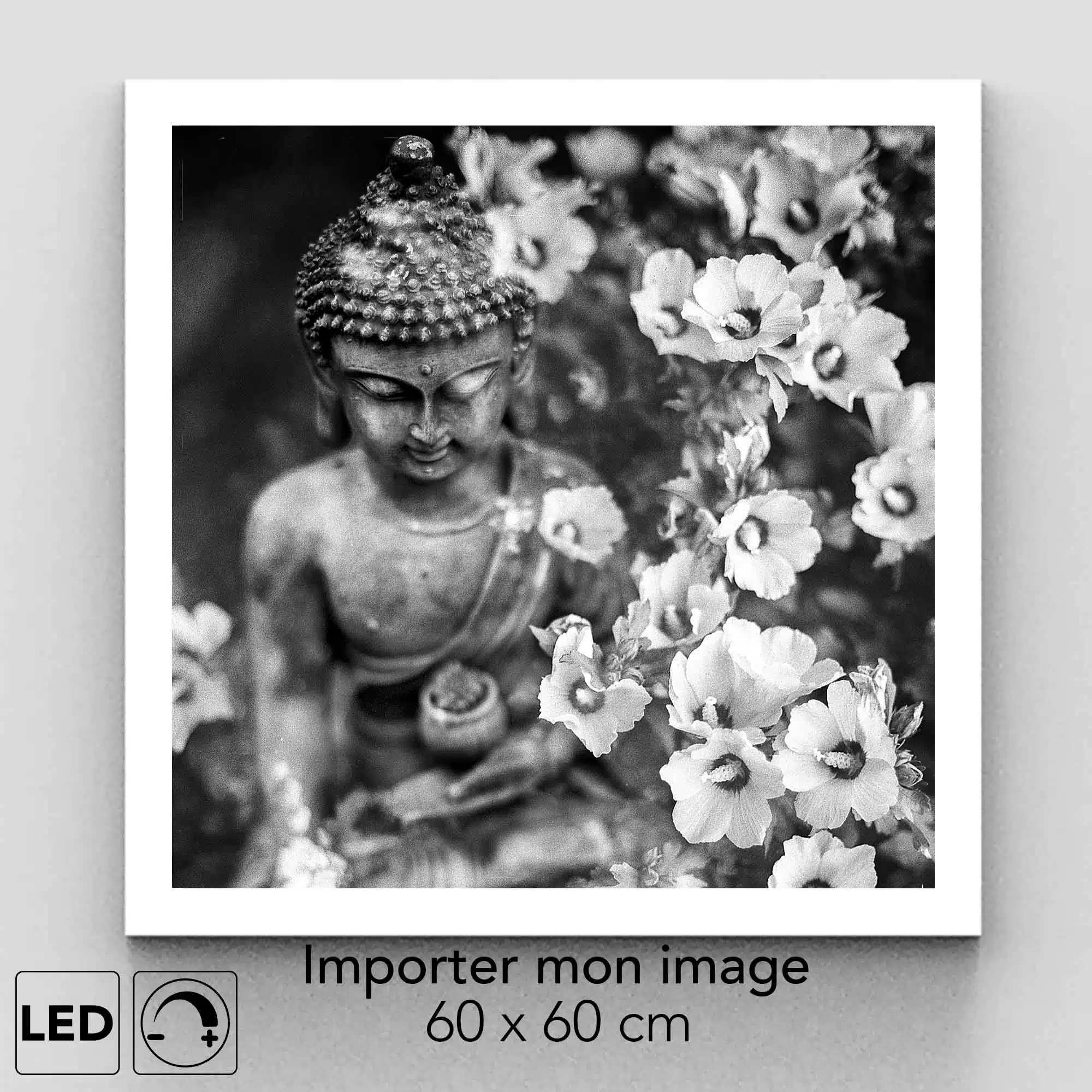 Panneau LED personnalisable 60x60 Panneau LED personnalisable 60x60