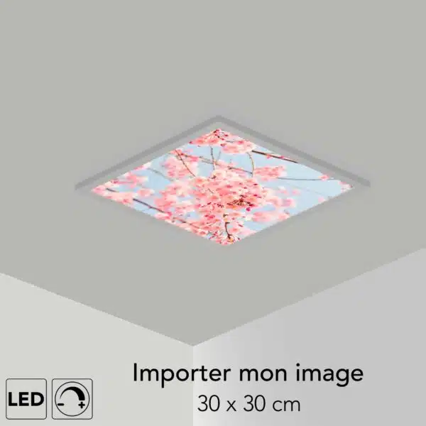 Panneau LED personnalisé 30x30