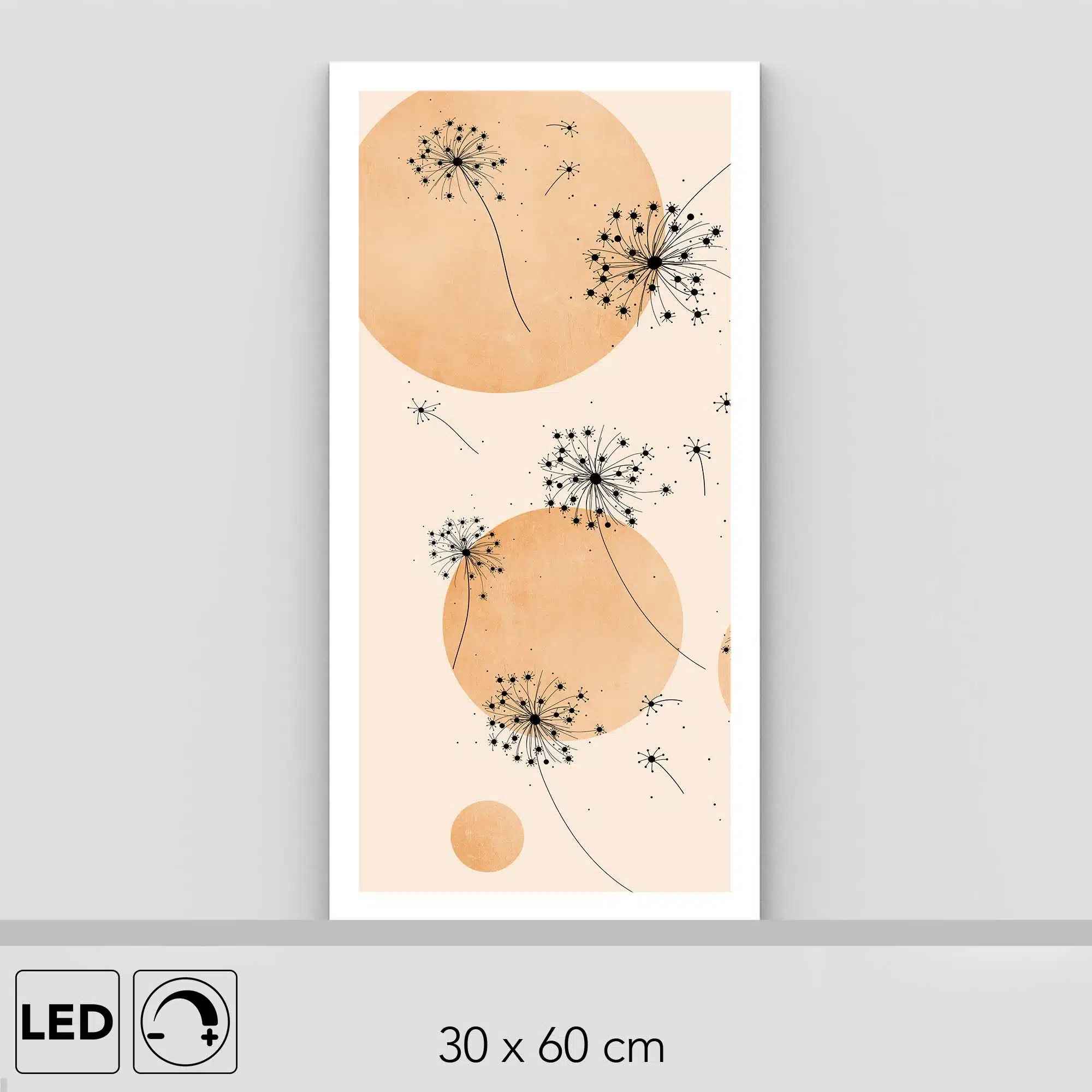 Lampe graines Lampe graines