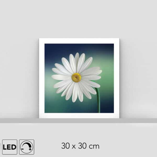 Lampe marguerite blanche