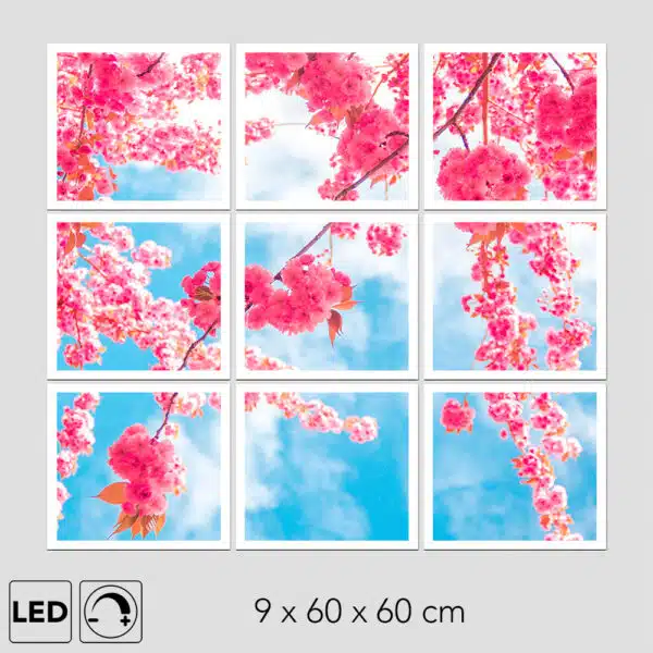 Panneau LED ciel et fleurs
