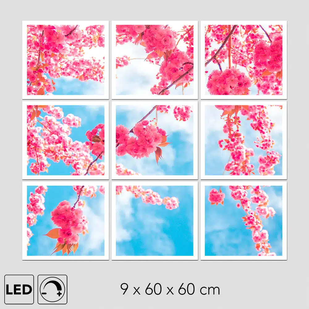 Panneau LED ciel et fleurs