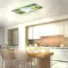 Plafonnier ciel végétation allumé