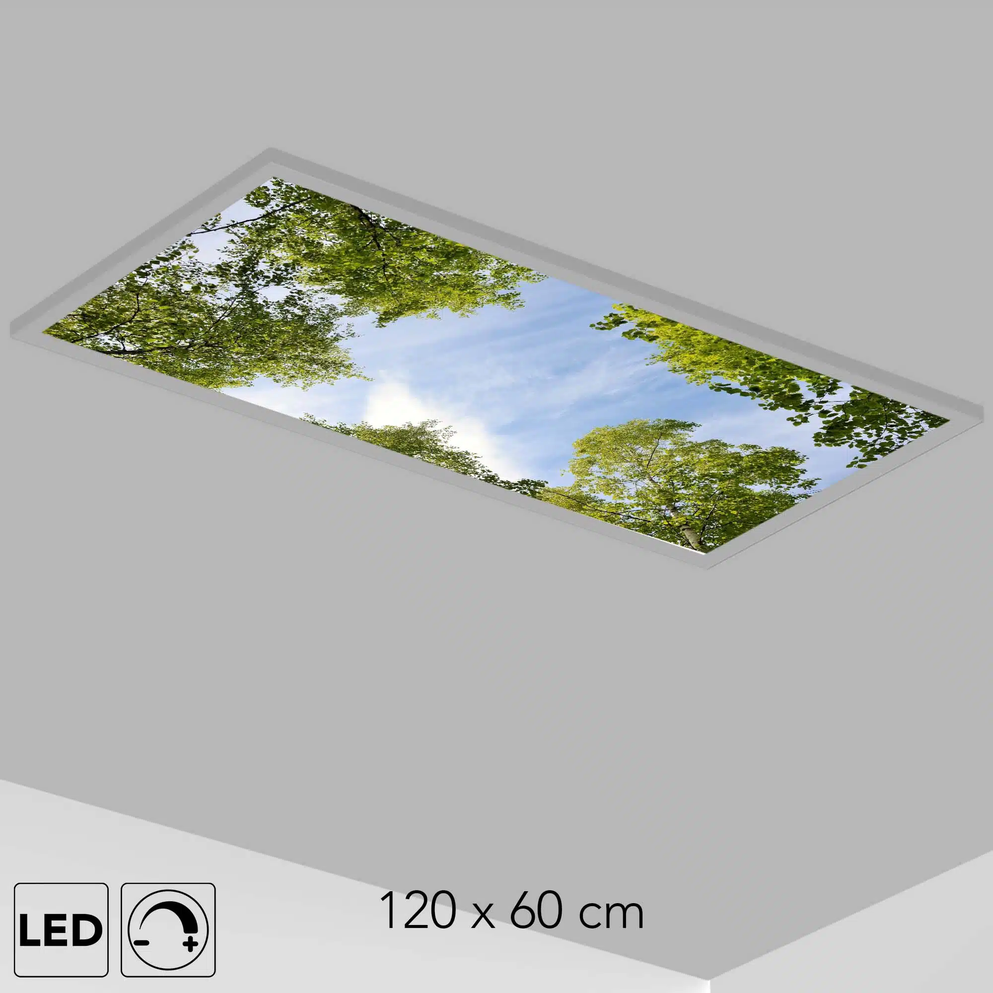 Plafonnier ciel végétation