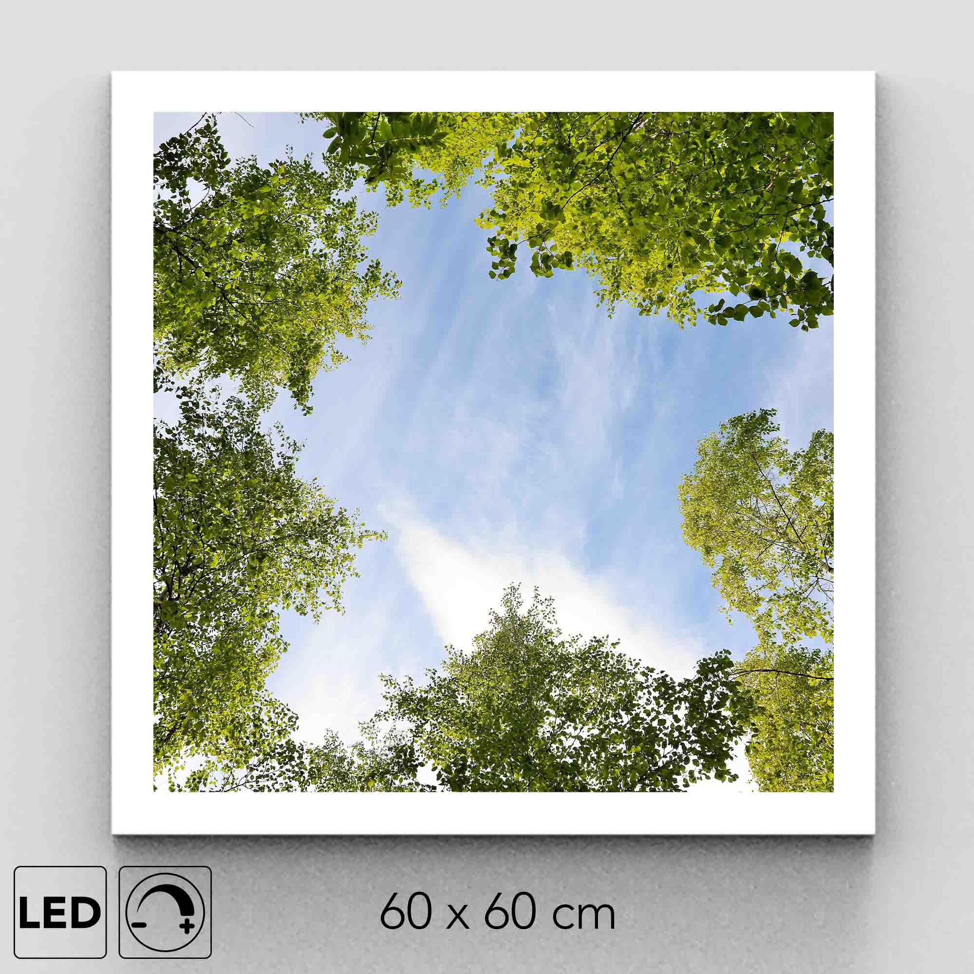 Plafonnier trouée forestière présentation