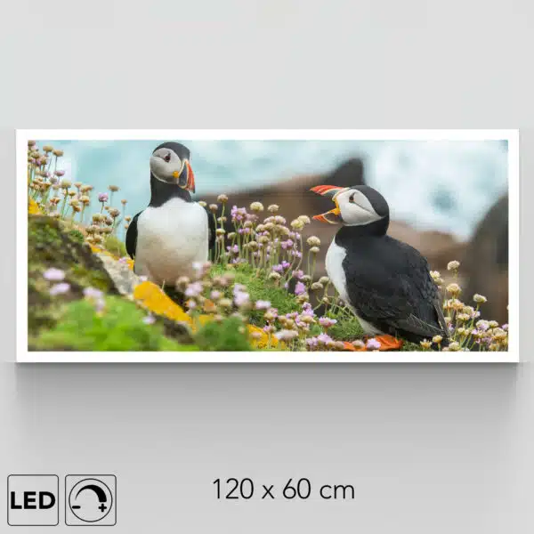 Applique murale macareux