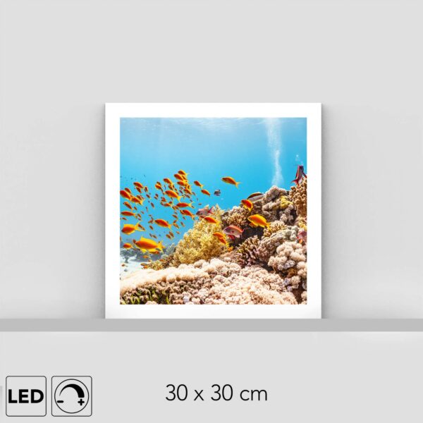 Lampe récif corallien